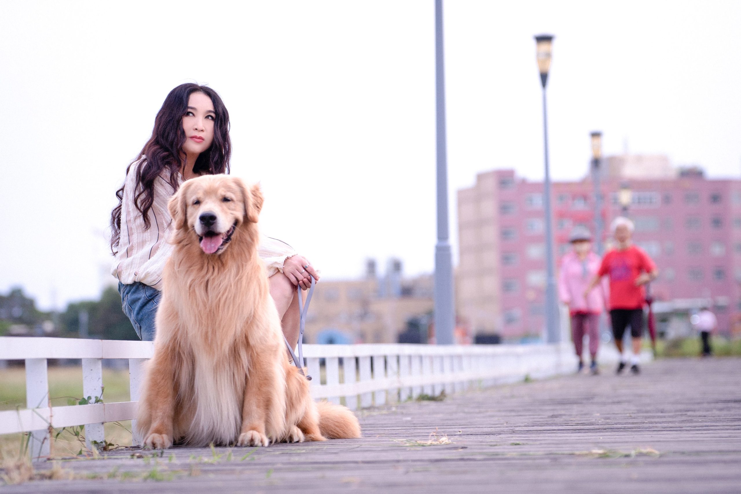 美魔女溫碧霞用私心 安排和黃金獵犬一起拍戲 - 謊島美人魚, 志明與春嬌, 廖銘賢, 溫碧霞 - 敗家達人推薦