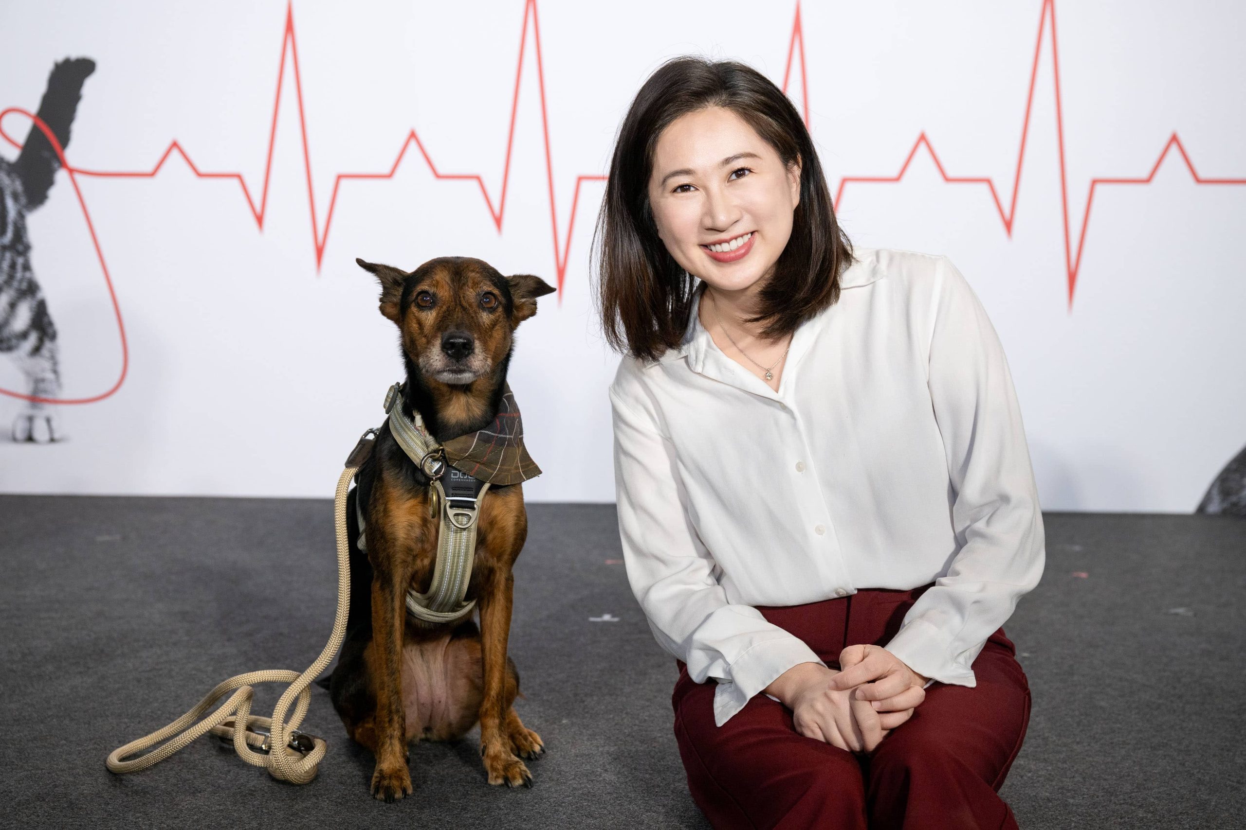 法國皇家攜手產業夥伴公益支持 「寵物健康守護聯盟」成立！ - 寵物健康守護聯盟, 法國皇家, 英特威 - 敗家達人推薦