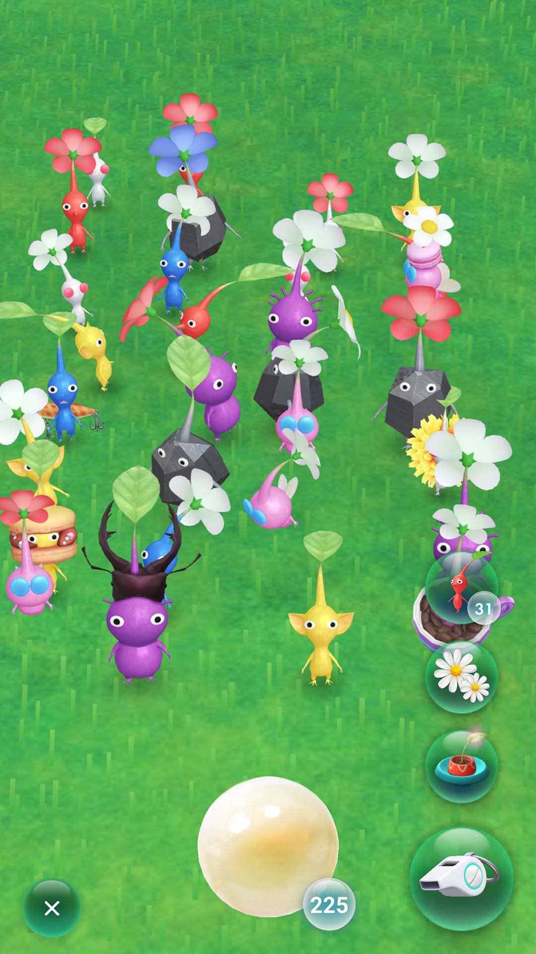 「Pikmin Bloom Tour 2025：高雄」即將在10月登場！ - Pikmin Bloom Tour 2025：高雄, 高雄市政府觀光局, Pikmin Bloom - 敗家達人推薦