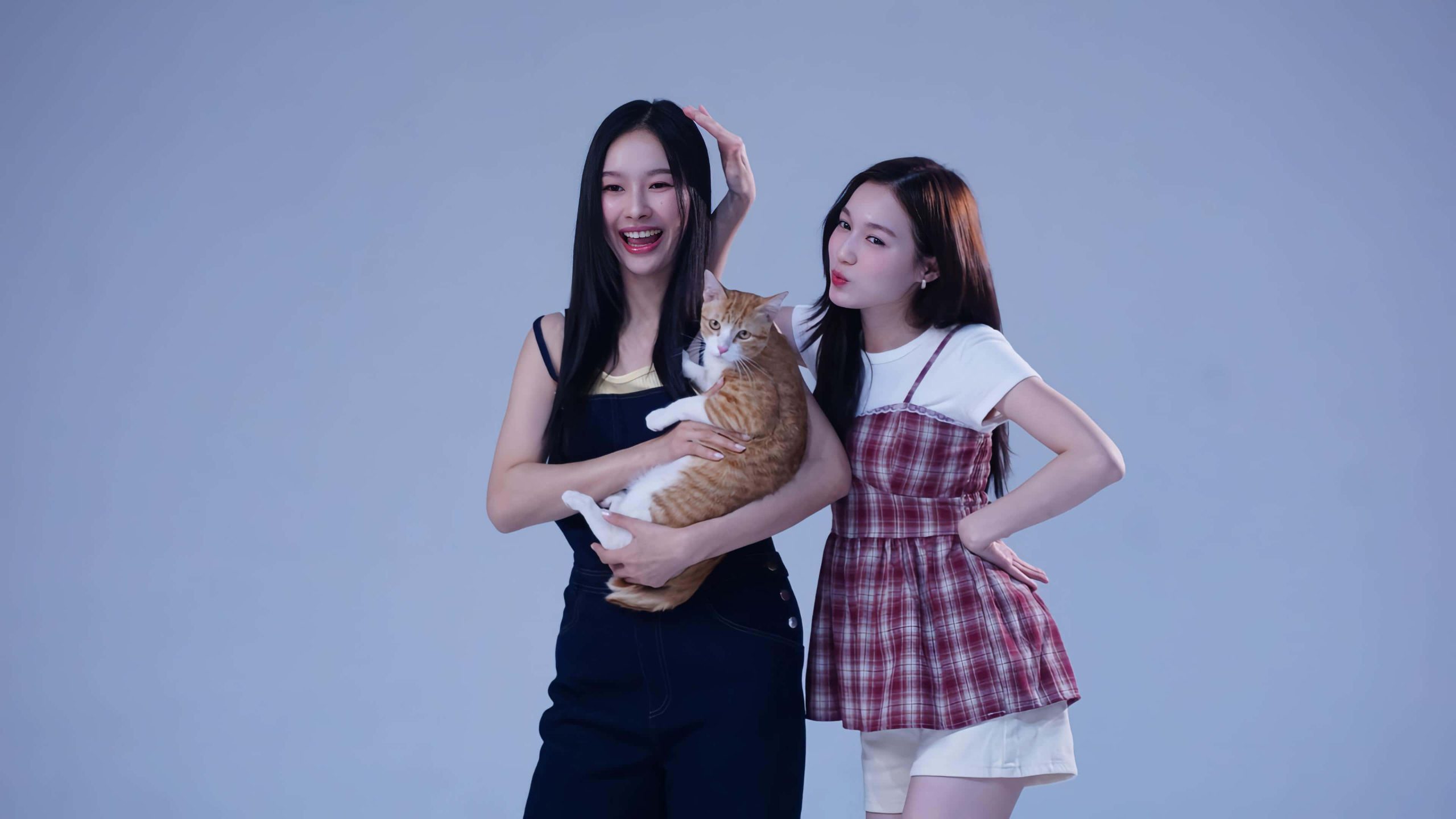 「小陳妍希」楊偲泳一改正義女律師模樣 特別瘦身三公斤 化身性感出租女友 - YouTube, 林家熙, 搗破法蘭克, 拾陸比玖, 蔡康凝, 談善言, 楊偲泳, 岑珈其, 袁富華共 - 敗家達人推薦