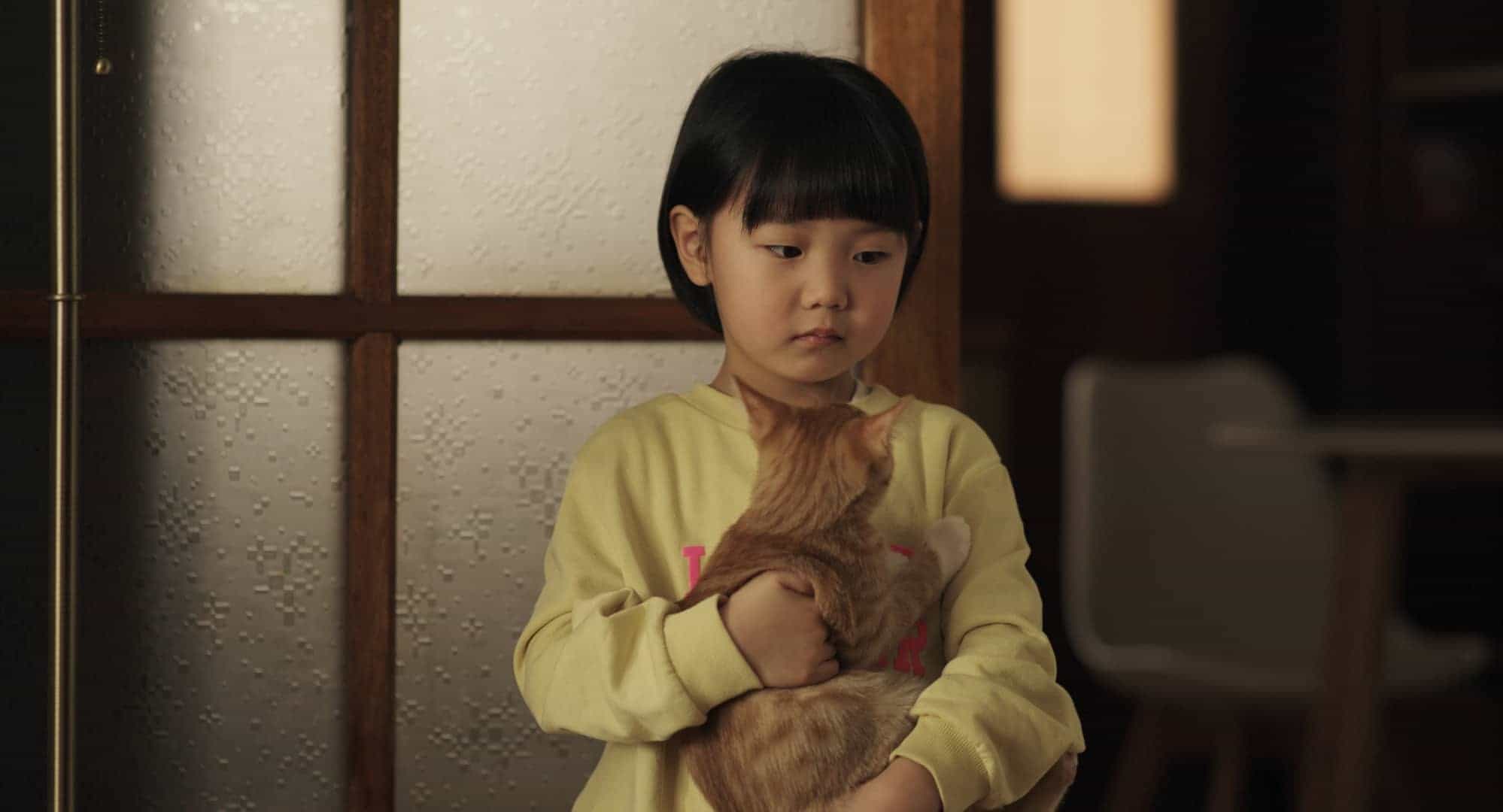 導演黃粹彬自曝望著男星照片激發靈感寫劇本 為守住清新氛圍狠心刪除吻戲 - 跟著貓走遇見愛, 柳亞貝, 吳東旻 - 敗家達人推薦