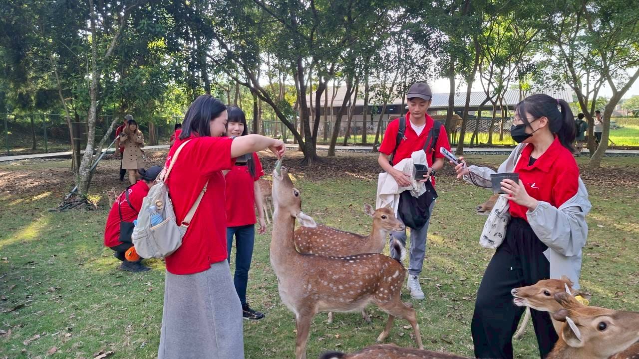 艾肯娛樂集團12週年 走入阿里山逐鹿部落,以行動實踐ESG永續精神 - 艾肯娛樂, 逐鹿12載, 阿里山逐鹿部落, ESG - 敗家達人推薦