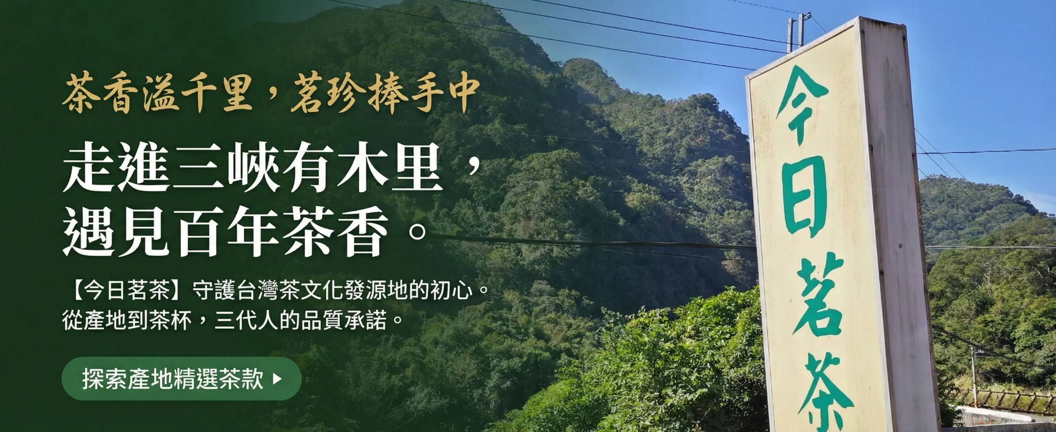 台灣高山茶排名【2026最新版】！5大熱門產區懶人包，新手選這款絕對不踩雷！ - 敗家達人推薦