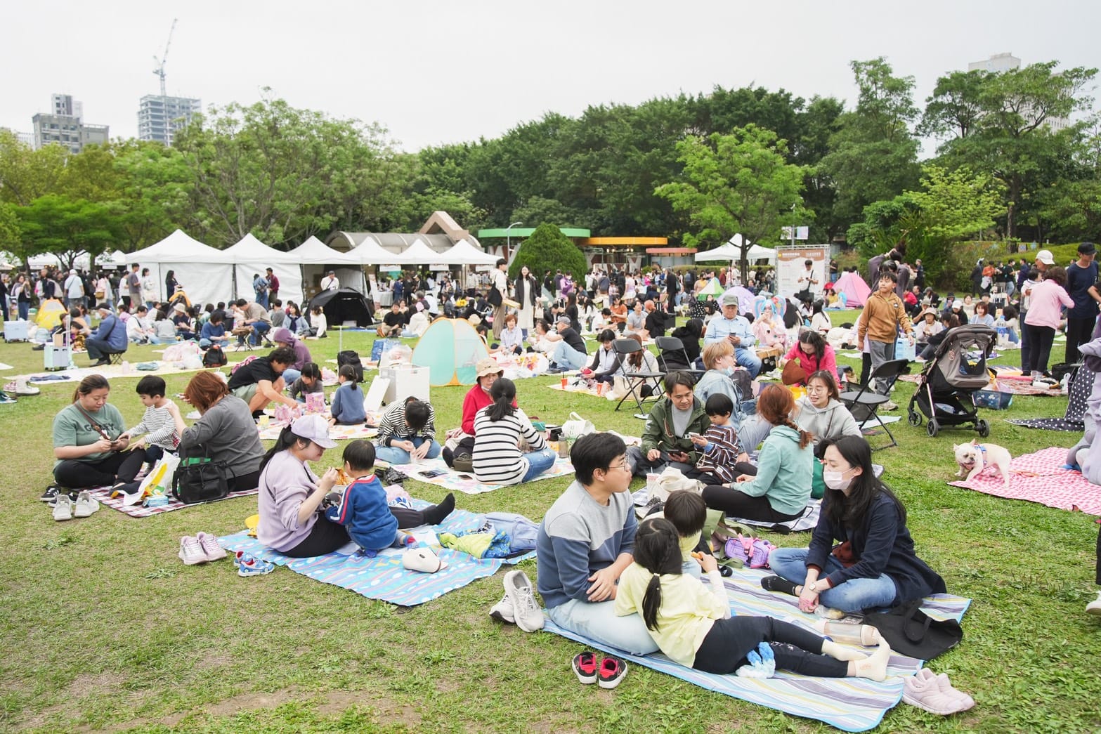 攜手《Pokémon GO》與駐臺代表開箱春日國際野餐盛會 - Pokemon Go, 蔣萬安, 2026 台北花伴野餐, 大安森林公園, 春日野餐 - 敗家達人推薦