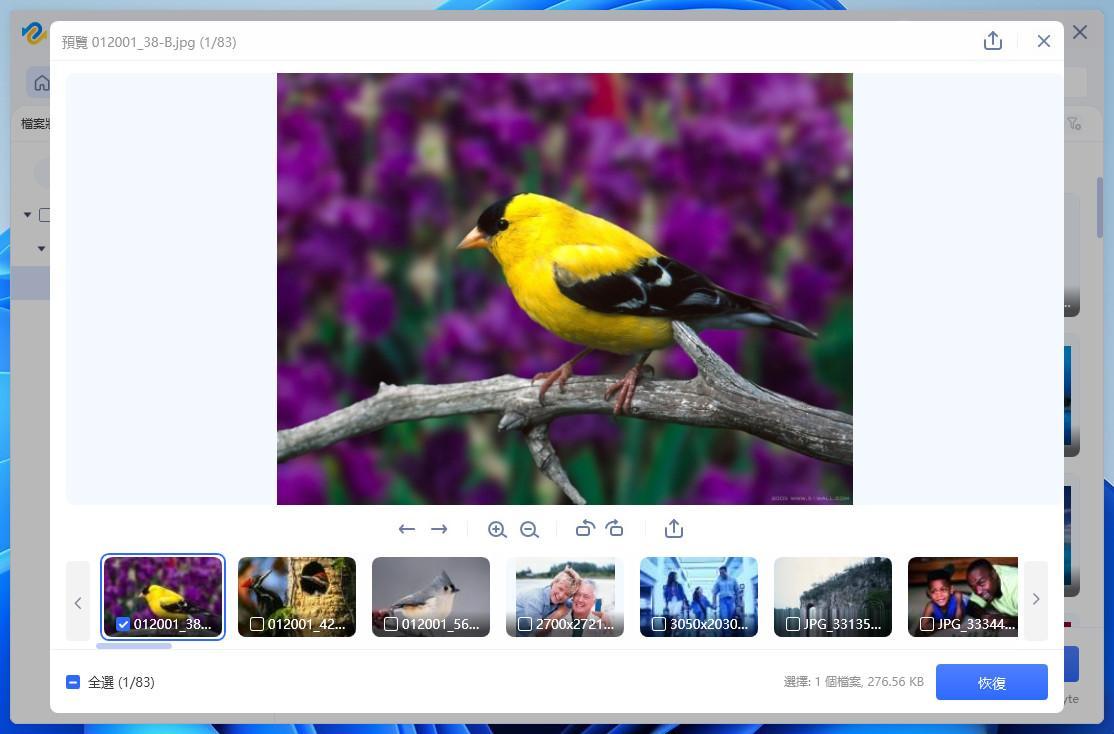 WordPress 發文神器 - 4